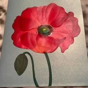 Meet your Posher, Bridget